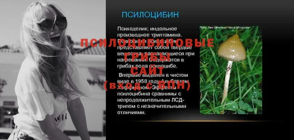 стаф Костерёво