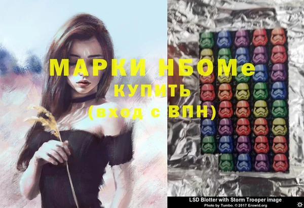 стаф Костерёво