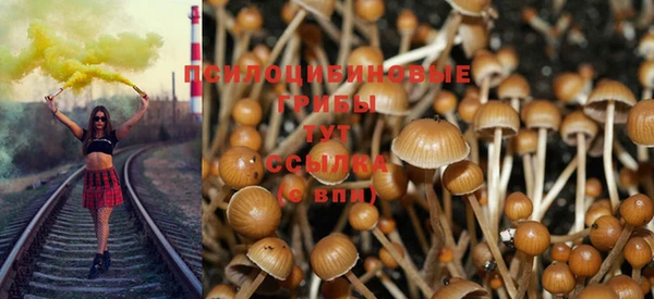 амф Корсаков