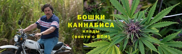 стаф Костерёво